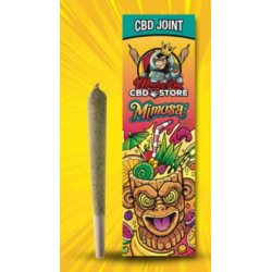 Monkey CBD Joint Mimosa
